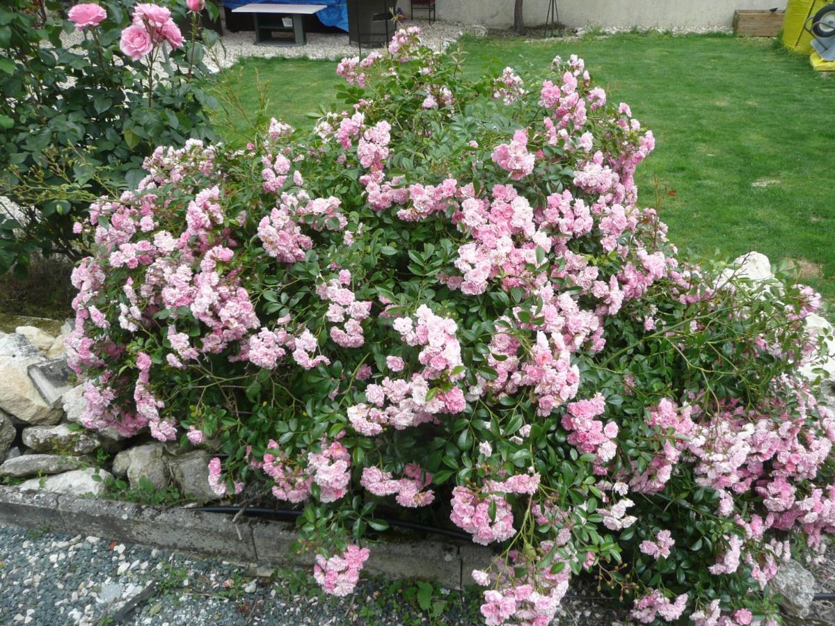 Maison Blanc Bed & Breakfast Gibourne Bagian luar foto